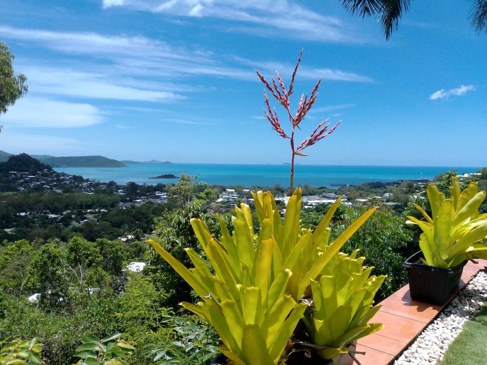ホテル Yachtsmans Paradise, Whitsundays エアリービーチ エクステリア 写真